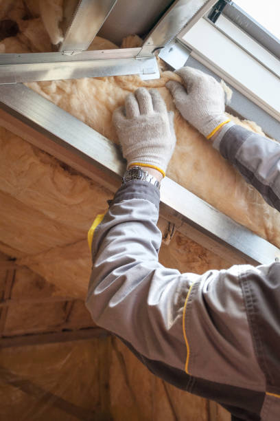 Best Cellulose Insulation  in Monticello, KY