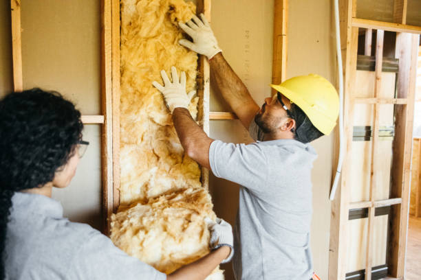 Best Soundproof Insulation Installation  in Monticello, KY